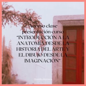 ACCESO A 4 CLASES CURSO NIDO DE TINTA