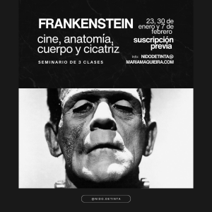 SUSCRIPCIÓN SEMINARIO FRANKENSTEIN: cine, anatomía, cuerpo y cicatriz_PRECIO REDUCIDO Febrero